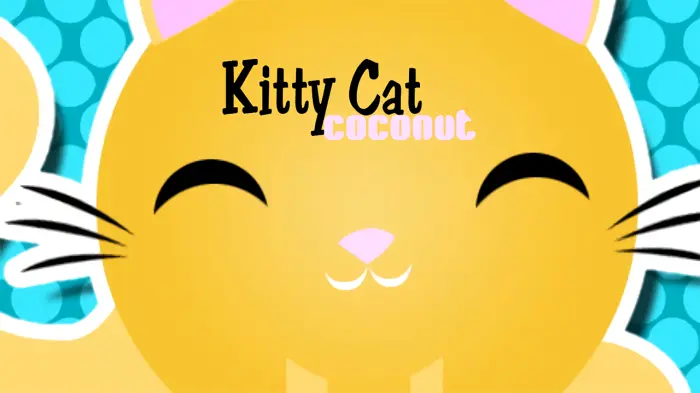 키티 캣